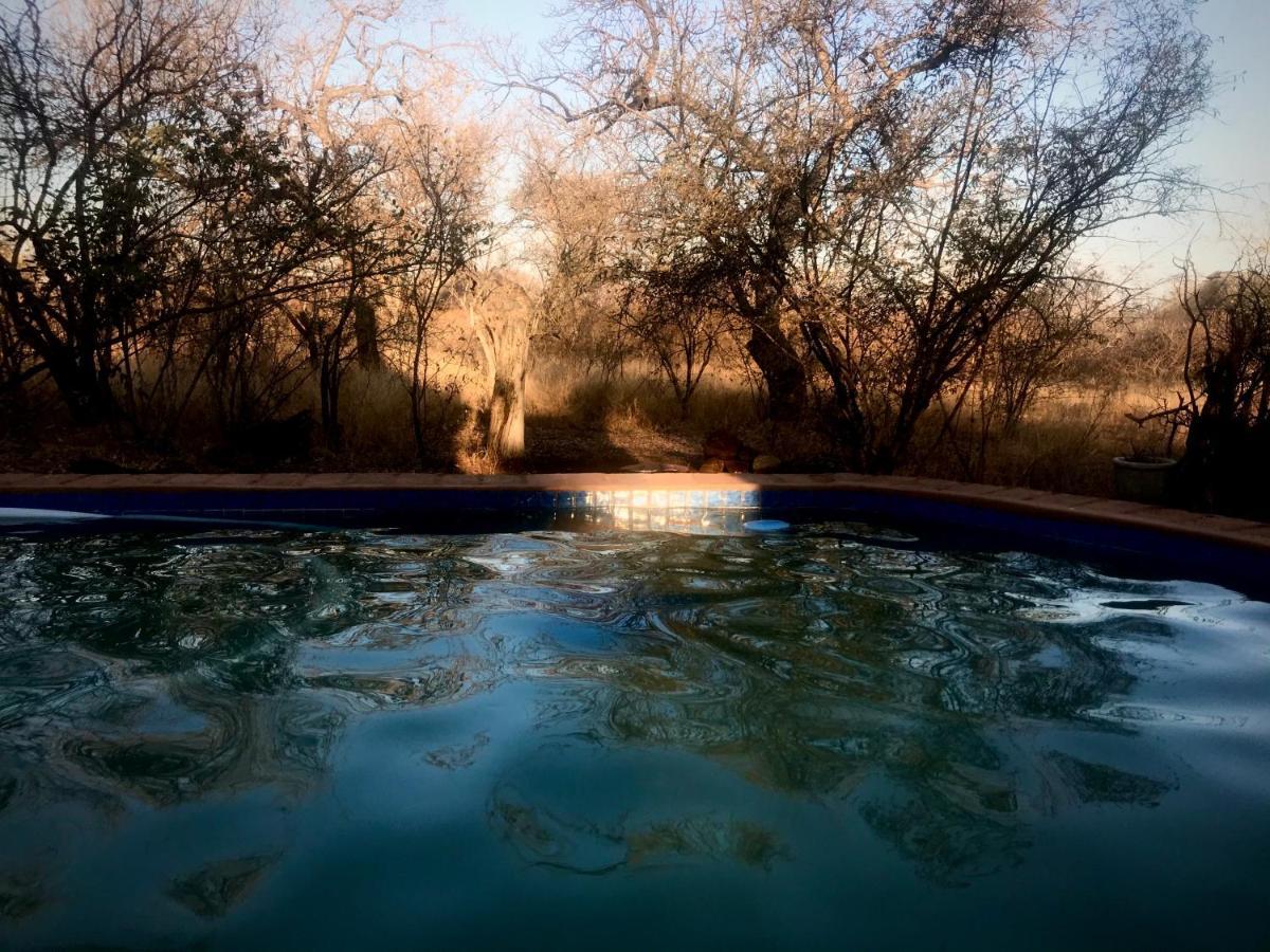 Villa The Bush Hut à Hoedspruit Extérieur photo