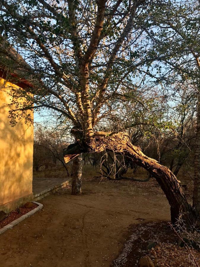 Villa The Bush Hut à Hoedspruit Extérieur photo